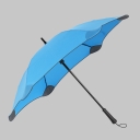 BLUNT, -, blunt-lite+-blue